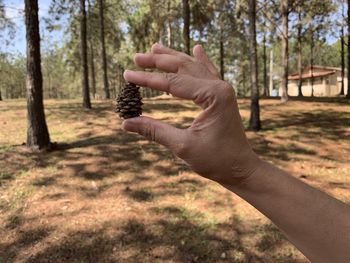 Midsection of person holding hands on tree