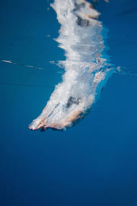 Mid adult woman swimming in pool