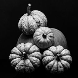 Close-up of pumpkin against black background