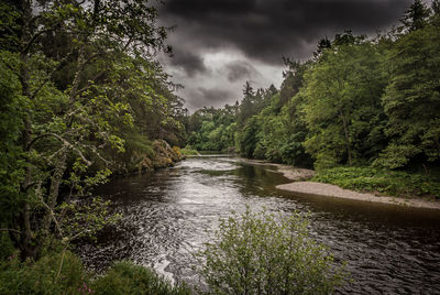 River amidst trees in forest against sky