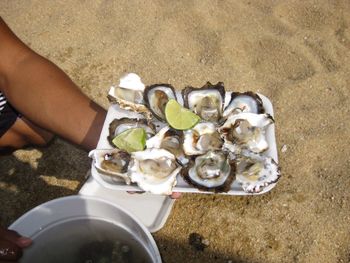 Cropped image of hand holding oysters at beach