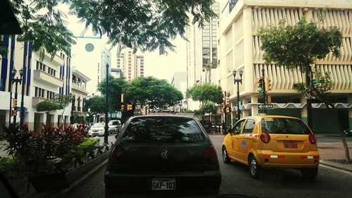 Cars parked on road