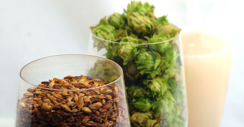 Close-up of wheat in plate