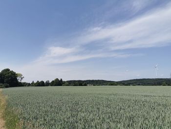 Scenic view of field against sky