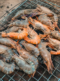 High angle view of fish on barbecue