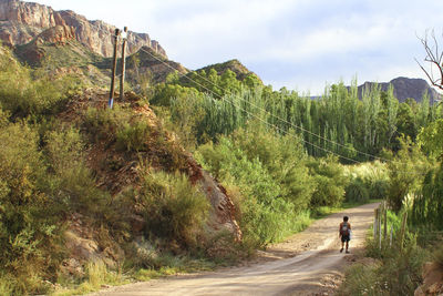 Rear view of man walking on road by mountain