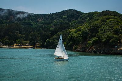 Sailboat sailing on sea by mountain