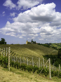 Scenic view of agricultural field against sky