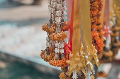 Close-up of flower hanging from for sale