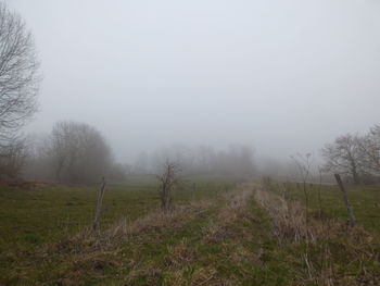 Scenic view of field in foggy weather