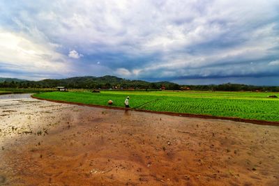 Scenic view of agricultural field against sky