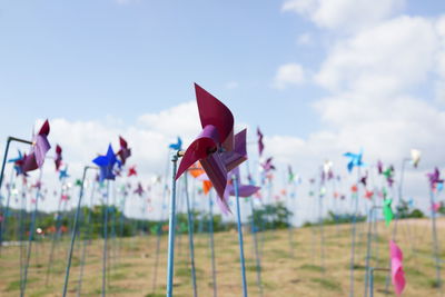 Close-up of multi colored flags on field against sky