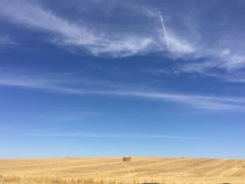 Scenic view of field against blue sky