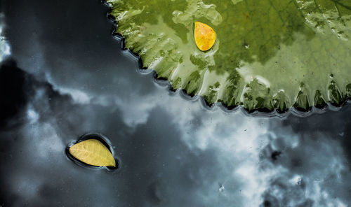Close-up of water