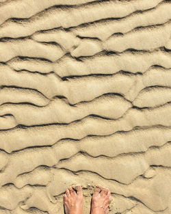 Low section of person standing on sand