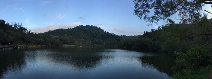 Scenic view of river amidst trees against sky
