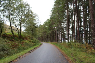 Road amidst trees in forest