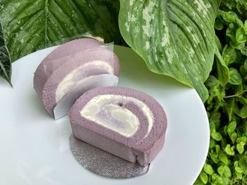 Purple taro roll cake with young coconut and cream on plate with natural gardening green leaves.