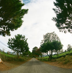 Road amidst trees against sky