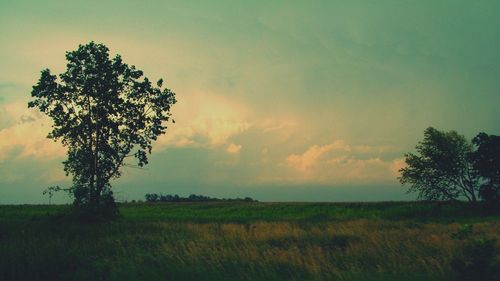 Scenic view of field against cloudy sky