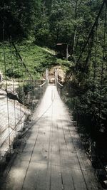 Empty footbridge in forest