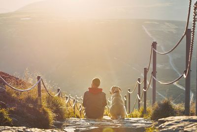 Rear view of man and dog sitting