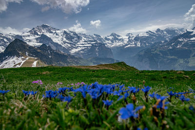 Scenic view of snowcapped mountains against sky