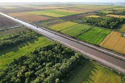 High angle view of agricultural field