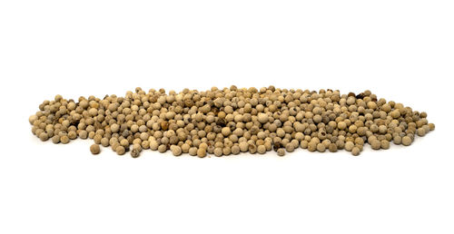 Close-up of bread against white background