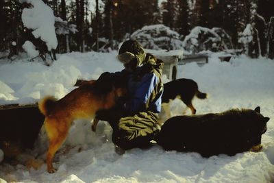 Person kneeling with dogs on snow covered field