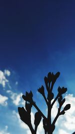 Low angle view of flowers against blue sky