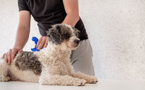 Rear view of man holding dog