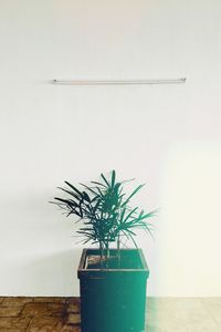 Potted plant on table against wall