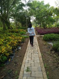 Rear view of woman walking on footpath amidst trees