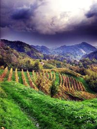 Scenic view of field against cloudy sky