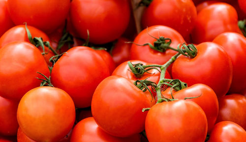 Tomato for sale on market stall. close-up, red color, vegetables, healthy.