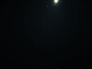 Low angle view of moon in sky at night