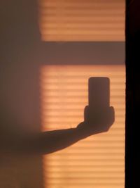 Close-up of silhouette hand on shadow