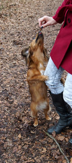 Woman with dog