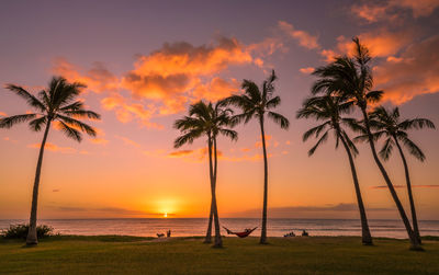 Silhouette palm trees against sky during sunset