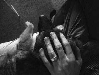 Cropped image of man