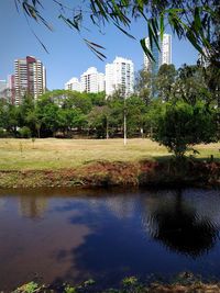 Reflection of trees and buildings in lake