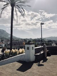 Street by palm trees and buildings against sky