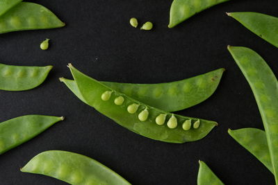 High angle view of green leaves