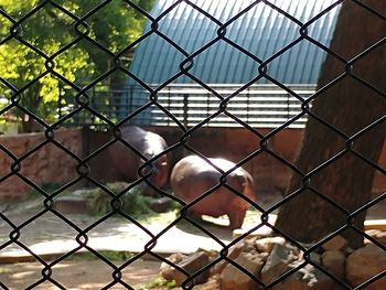 View of through chainlink fence