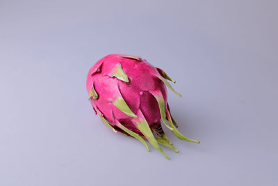 Close-up of apple against white background