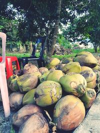 Fruits and tree