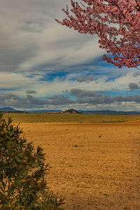 Scenic view of land against sky