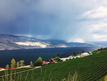 Scenic view of green hill by okanagan lake against cloudy sky