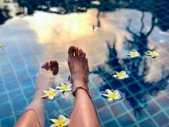 Low section of woman standing by swimming pool